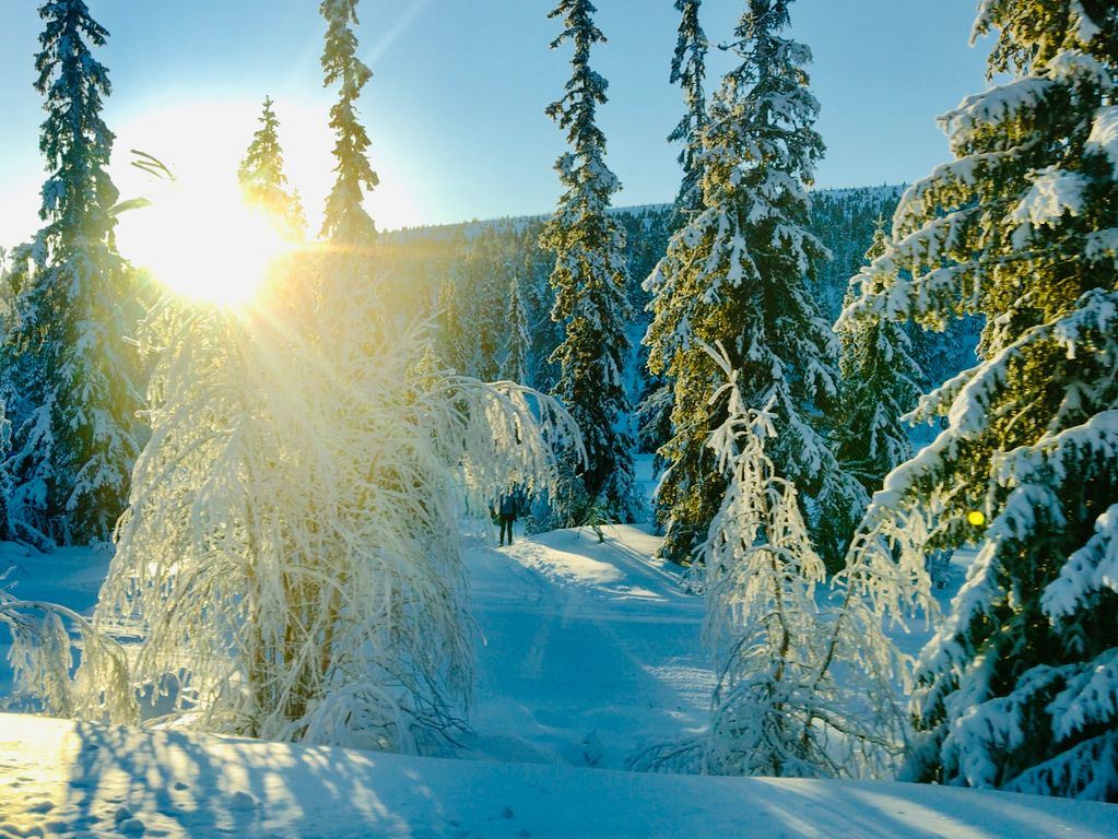 Zweden Winter Nieuw 4